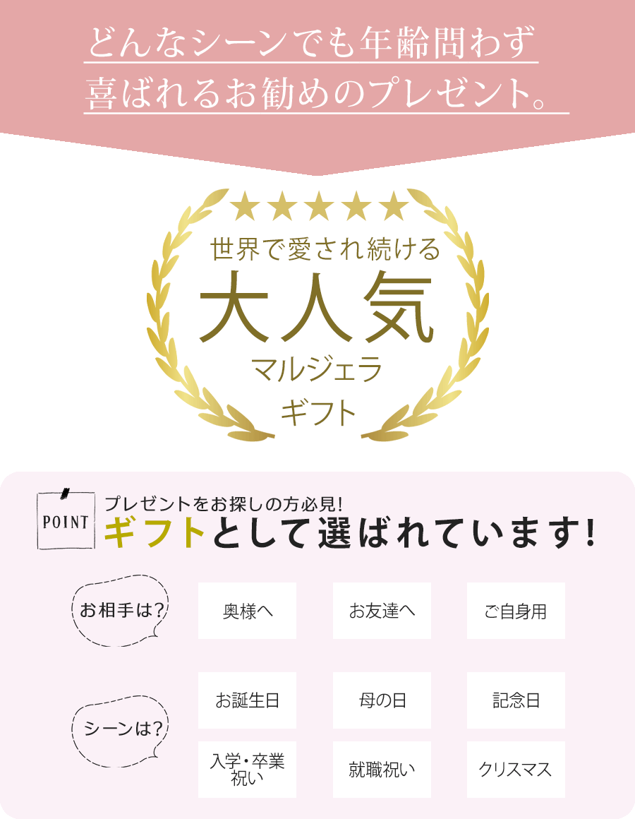 ポール&ジョー ポールアンドジョー プレゼント ギフト 誕生日 コスメ メイクポーチ ネイルオイル ネイル ケア ハンカチ バスフィズ ポーチ ペンケース 女性 ギフトセット 喜ばれるギフト giftpauland04