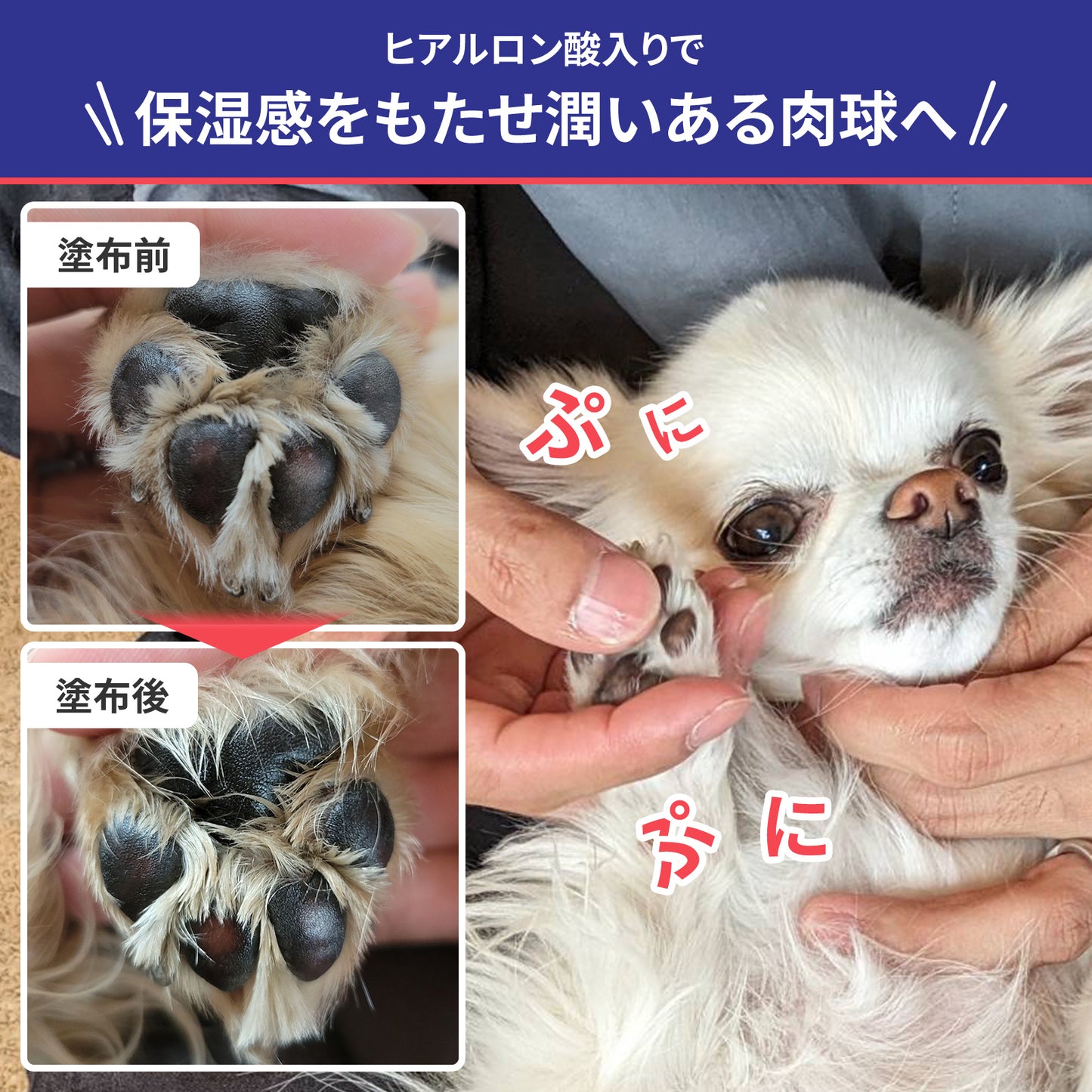肉球クリーム 20g 犬 猫 ペット 保湿 ケア 無添加 日本製 PAWLISH パウリッシュ pawlish240422