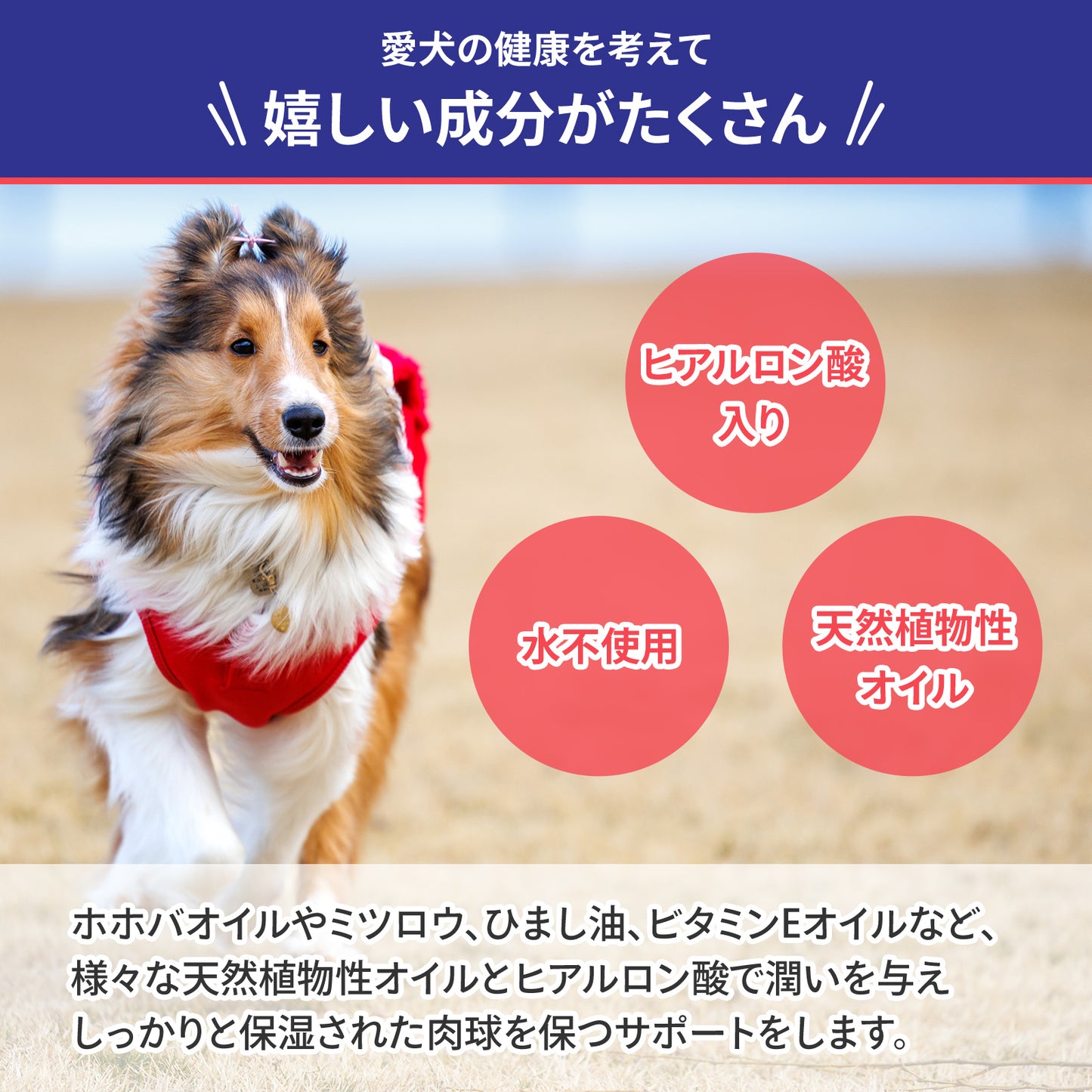 肉球クリーム 20g 犬 猫 ペット 保湿 ケア 無添加 日本製 PAWLISH パウリッシュ pawlish240422