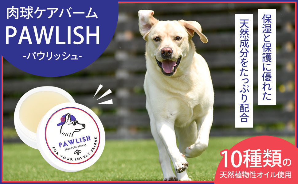 肉球クリーム 20g 犬 猫 ペット 保湿 ケア 無添加 日本製 PAWLISH パウリッシュ pawlish240422
