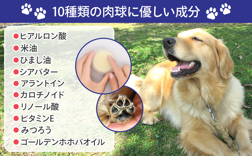 肉球クリーム 20g 犬 猫 ペット 保湿 ケア 無添加 日本製 PAWLISH パウリッシュ pawlish240422